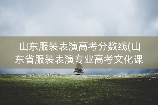山东服装表演高考分数线(山东省服装表演专业高考文化课分数线)