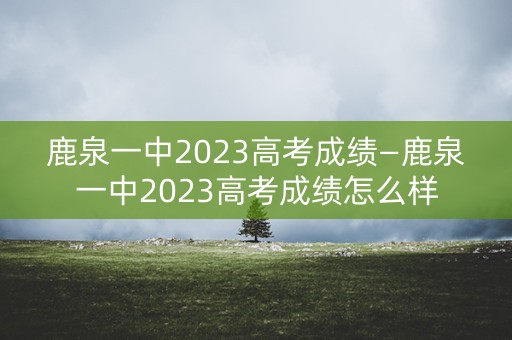 鹿泉一中2023高考成绩—鹿泉一中2023高考成绩怎么样