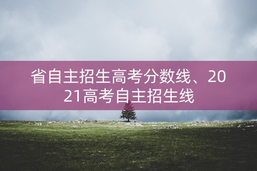 省自主招生高考分数线、2021高考自主招生线 省自主招生高考分数线、2021高考自主招生线