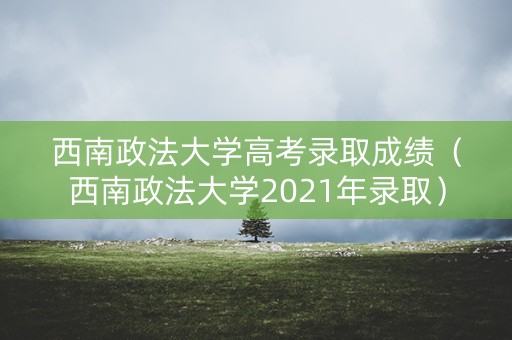 西南政法大学高考录取成绩（西南政法大学2021年录取）