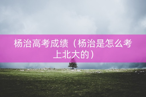 杨治高考成绩（杨治是怎么考上北大的）