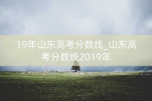 19年山东高考分数线_山东高考分数线2019年