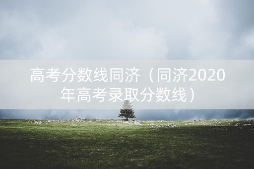 高考分数线同济（同济2020年高考录取分数线）