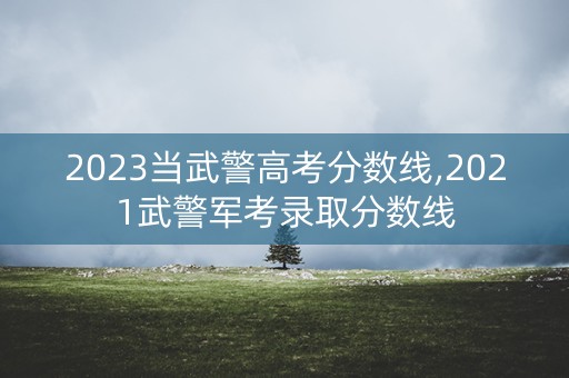 2023当武警高考分数线,2021武警军考录取分数线