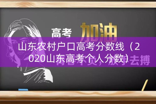 山东农村户口高考分数线(2020山东高考个人分数) 山东农村户口高考分数线(2020山东高考个人分数)