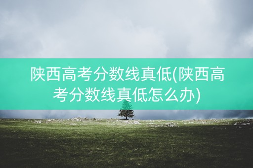 陕西高考分数线真低(陕西高考分数线真低怎么办)