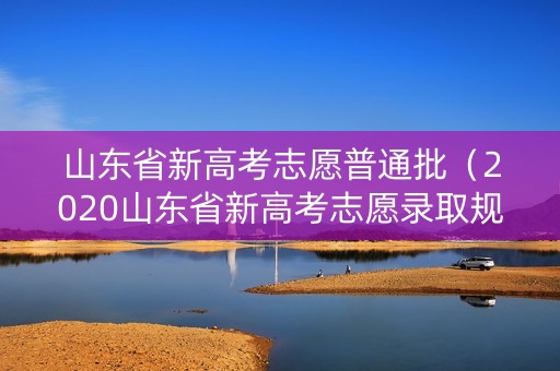 山东省新高考志愿普通批(2020山东省新高考志愿录取规则) 山东省新高考志愿普通批(2020山东省新高考志愿录取规则)