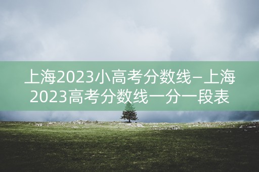 上海2023小高考分数线—上海2023高考分数线一分一段表