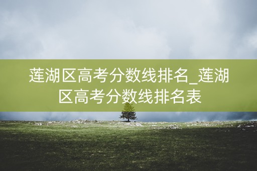 莲湖区高考分数线排名_莲湖区高考分数线排名表