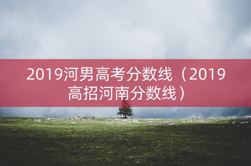 2019河男高考分数线（2019高招河南分数线）