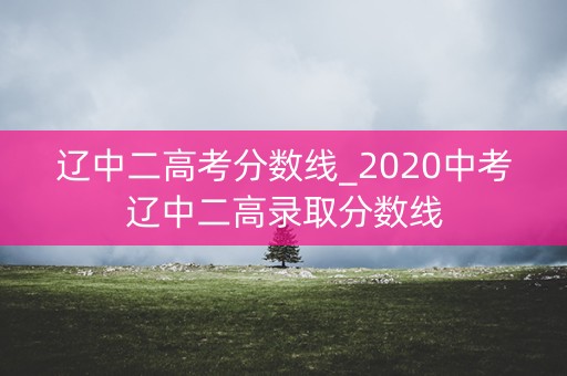 辽中二高考分数线_2020中考辽中二高录取分数线
