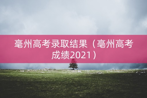 毫州高考录取结果（亳州高考成绩2021）