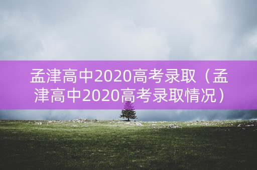 孟津高中2020高考录取（孟津高中2020高考录取情况）
