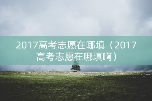 2017高考志愿在哪填(2017高考志愿在哪填啊) 2017高考志愿在哪填(2017高考志愿在哪填啊)
