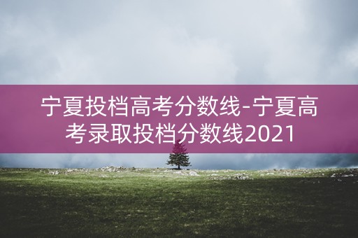 宁夏投档高考分数线-宁夏高考录取投档分数线2021