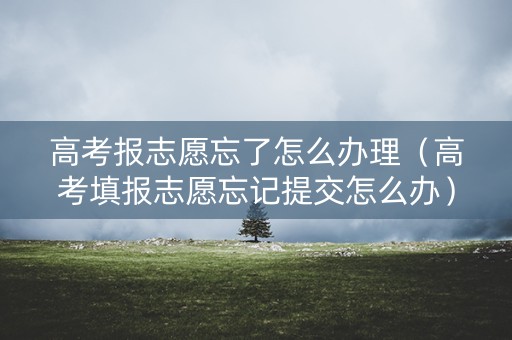 高考报志愿忘了怎么办理（高考填报志愿忘记提交怎么办）