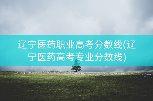 辽宁医药职业高考分数线(辽宁医药高考专业分数线)