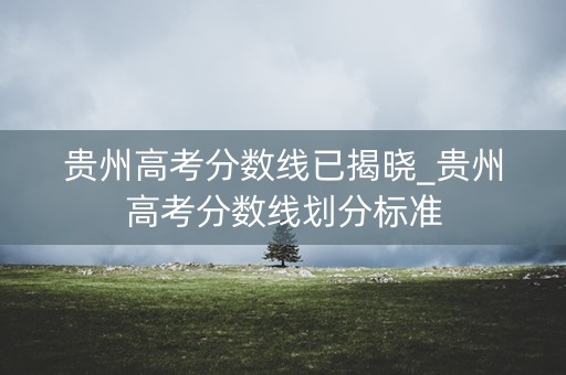 贵州高考分数线已揭晓_贵州高考分数线划分标准 贵州高考分数线已揭晓_贵州高考分数线划分标准