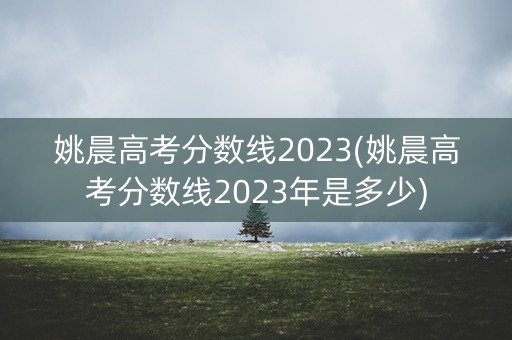 姚晨高考分数线2023(姚晨高考分数线2023年是多少)