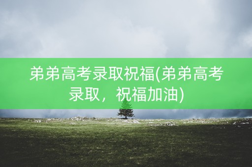 弟弟高考录取祝福(弟弟高考录取，祝福加油)