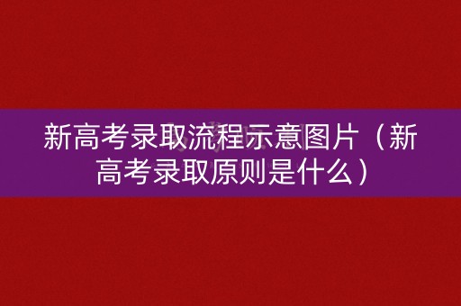 新高考录取流程示意图片（新高考录取原则是什么）