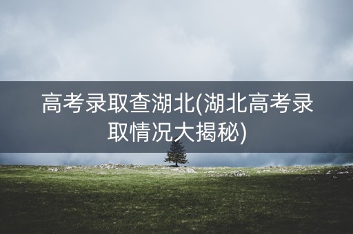 高考录取查湖北(湖北高考录取情况大揭秘)