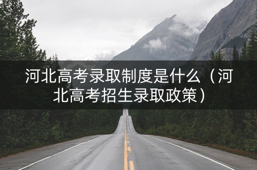河北高考录取制度是什么（河北高考招生录取政策）