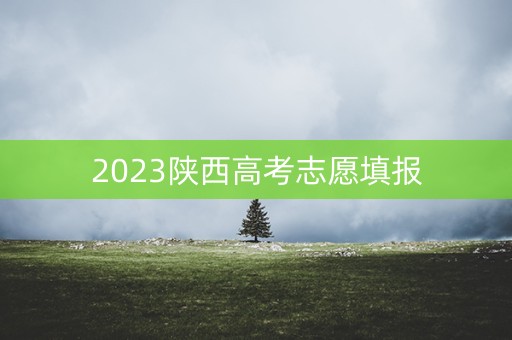 2023陕西高考志愿填报 2023陕西高考志愿填报