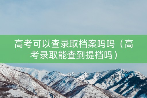 高考可以查录取档案吗吗（高考录取能查到提档吗）