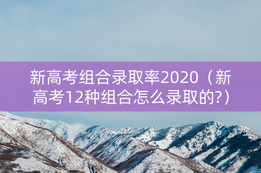 新高考组合录取率2020（新高考12种组合怎么录取的?）