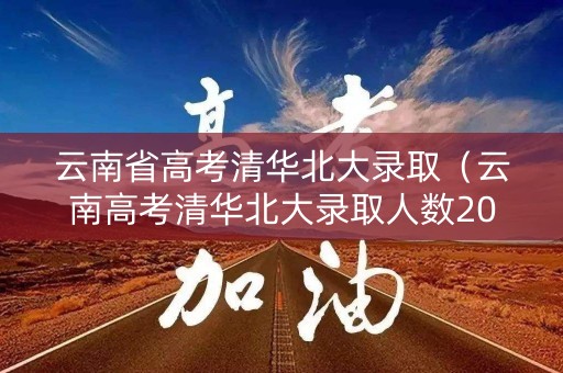 云南省高考清华北大录取（云南高考清华北大录取人数2020年）