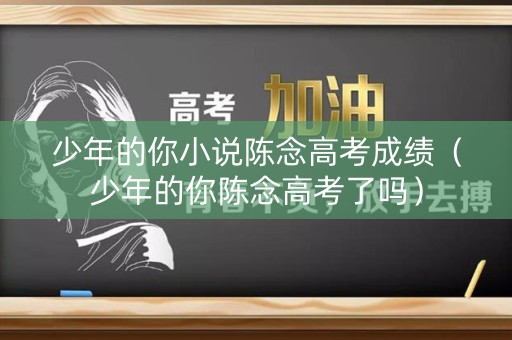 少年的你小说陈念高考成绩（少年的你陈念高考了吗）