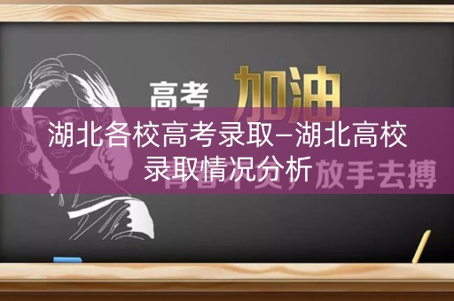 湖北各校高考录取—湖北高校录取情况分析