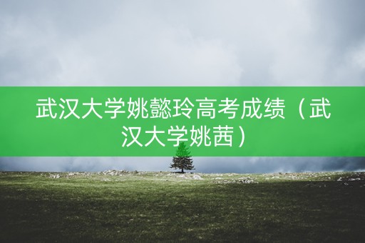 武汉大学姚懿玲高考成绩（武汉大学姚茜）