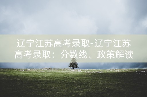 辽宁江苏高考录取-辽宁江苏高考录取：分数线、政策解读、专业选择