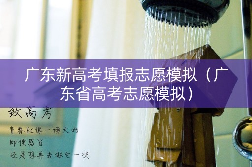 广东新高考填报志愿模拟（广东省高考志愿模拟）