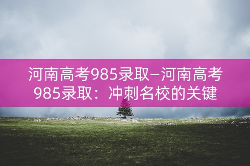 河南高考985录取—河南高考985录取：冲刺名校的关键
