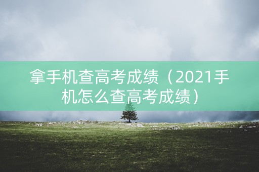 拿手机查高考成绩（2021手机怎么查高考成绩）