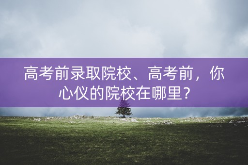 高考前录取院校、高考前，你心仪的院校在哪里？