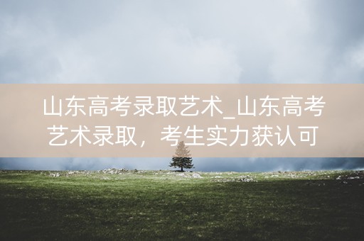 山东高考录取艺术_山东高考艺术录取，考生实力获认可