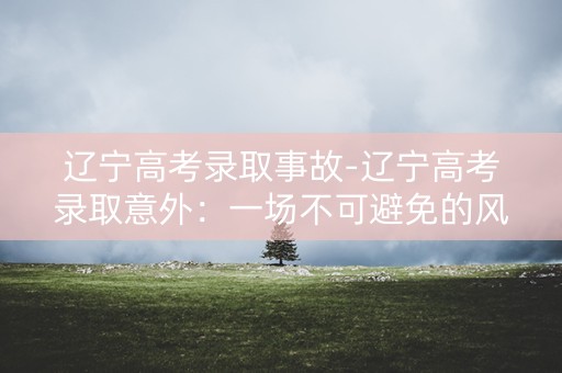 辽宁高考录取事故-辽宁高考录取意外：一场不可避免的风波