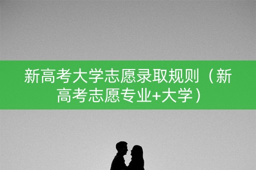 新高考大学志愿录取规则（新高考志愿专业+大学）