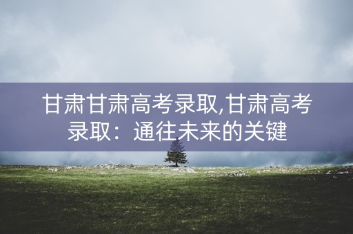 甘肃甘肃高考录取,甘肃高考录取：通往未来的关键