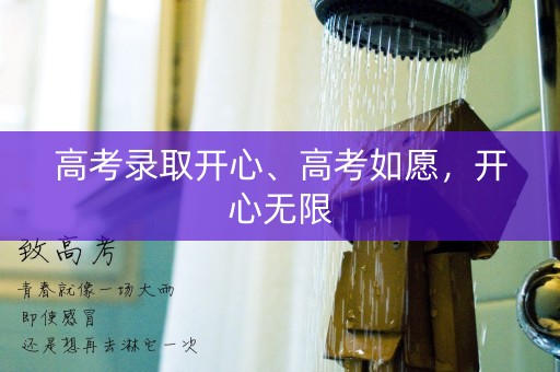 高考录取开心、高考如愿，开心无限