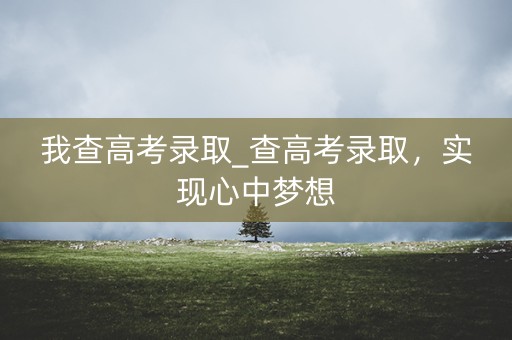 我查高考录取_查高考录取，实现心中梦想