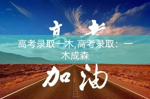 高考录取一木,高考录取：一木成森