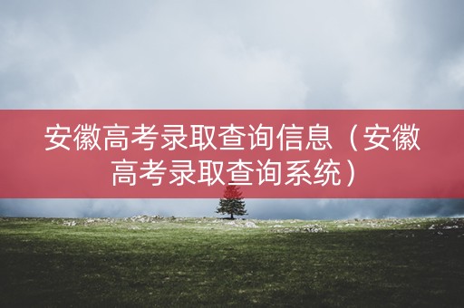 安徽高考录取查询信息（安徽高考录取查询系统）