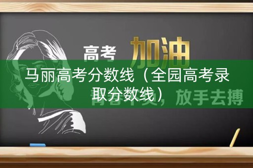 马丽高考分数线（全园高考录取分数线）