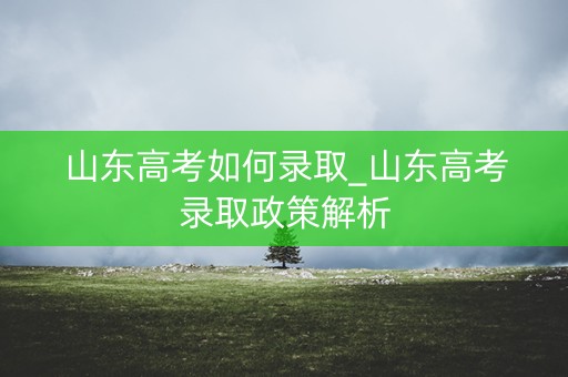 山东高考如何录取_山东高考录取政策解析