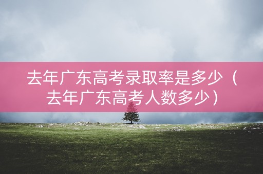 去年广东高考录取率是多少（去年广东高考人数多少）